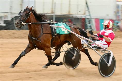 horse racing wisconsin